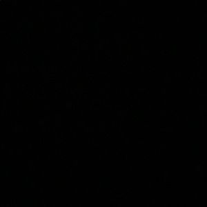 Meet your Posher, Allison a